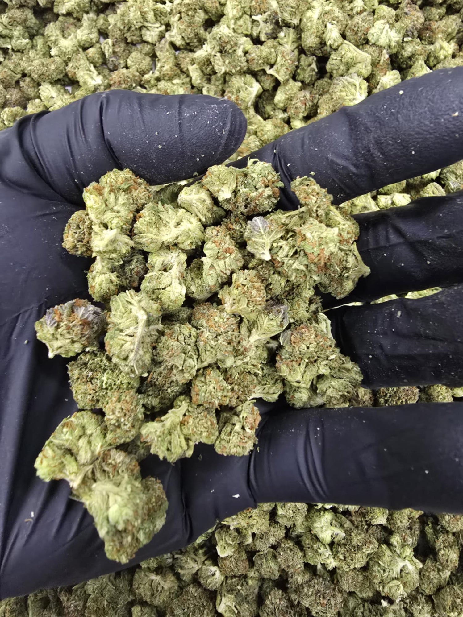 THCa Smalls