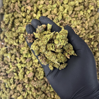 THCa CD91 - Smalls
