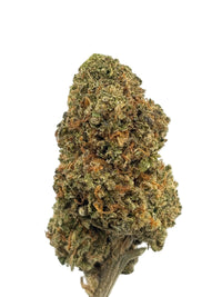 THCa Sherbanger
