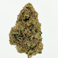THCa Watermelon Z